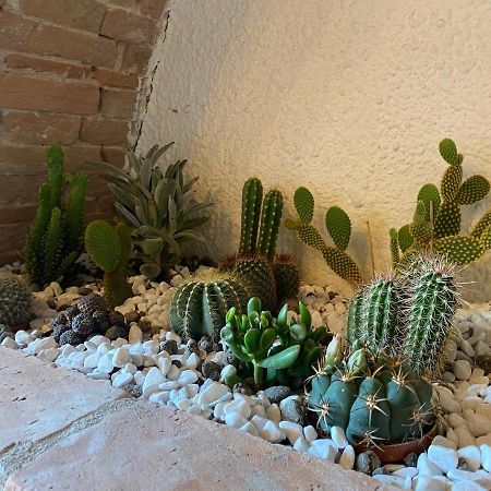 Cactus Suite Pisa Exterior photo